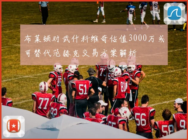 布莱顿对武什科维奇估值3000万或可替代范赫克交易方案解析